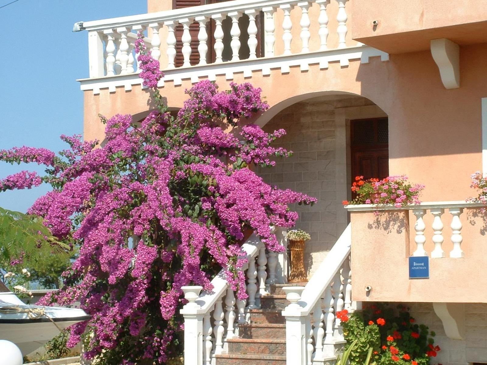 Apartment Valerija ปริฟลากา ภายนอก รูปภาพ